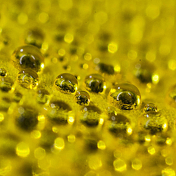 Капли воды на лепестке лютика