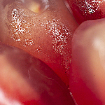 Три зерна граната очень крупным планом