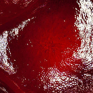 Просвечивающие внутренности зерна граната