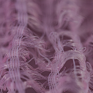 Волокна пластмассовой мочалки