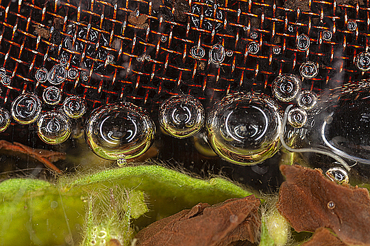 Пузыри, сетка и чай в заварнике