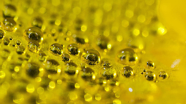 Капли воды на лепестке лютика