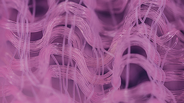 Волокна мочалки