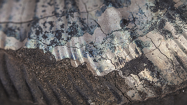 Облупившийся аммонит