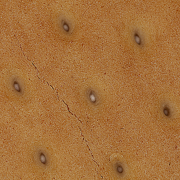 Верх печенья с начинкой и трещиной